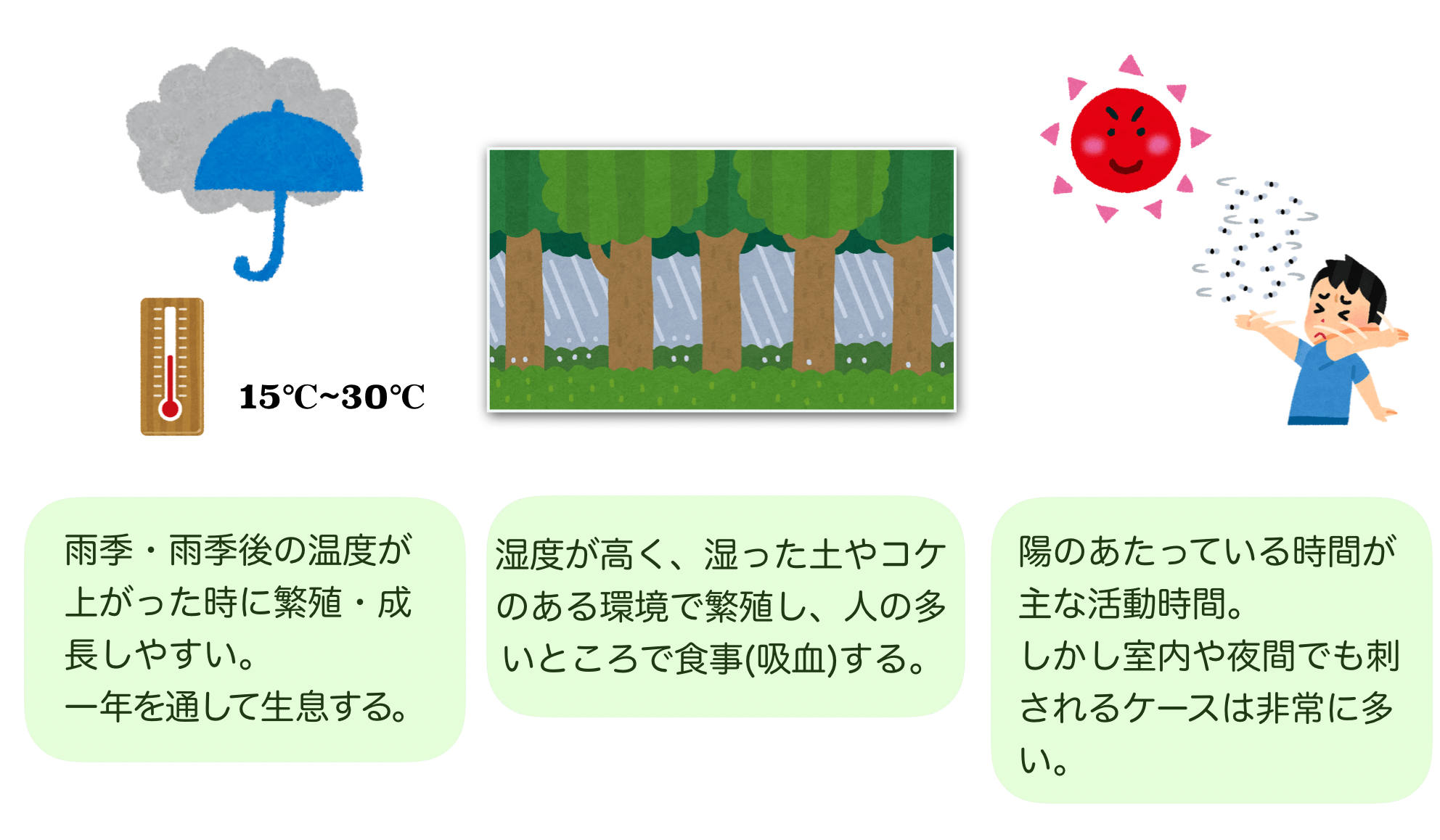 小黒蚊　生態